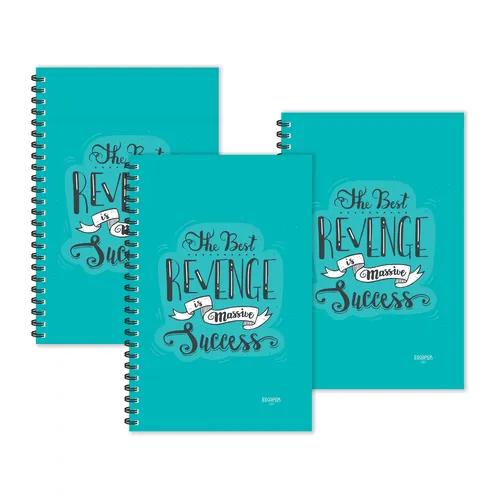 Best Revenge Is Massive Success Motivational Ruled Diaries - Pack Of 3