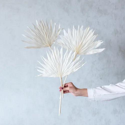 White Sun Palm Spears (Set Of 3 Pcs)