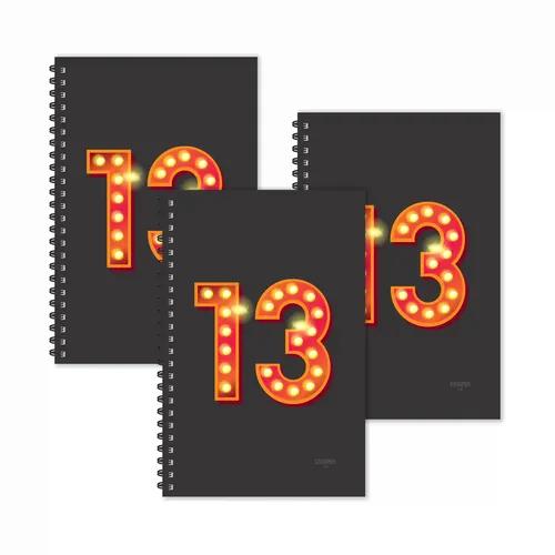 Number 13 - Numeric Ruled Diaries - Pack Of 3