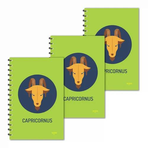 Capricorn Zodiac Ruled Diaries - Pack Of 3 C Sign Diary